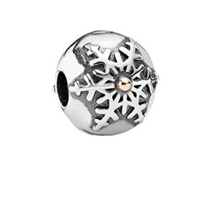 Pandora retired snowflake charm!
